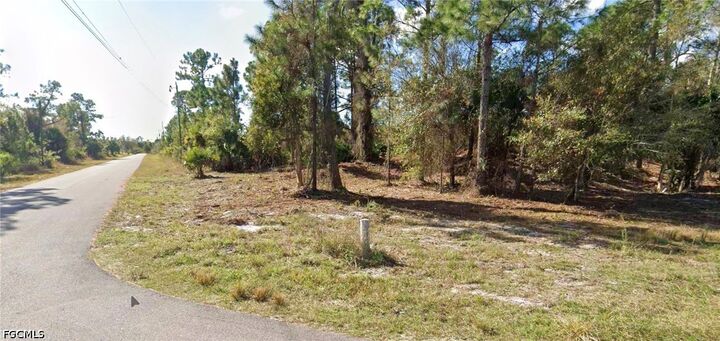 Property Photo:  6017 Rita Avenue N  FL 33971 