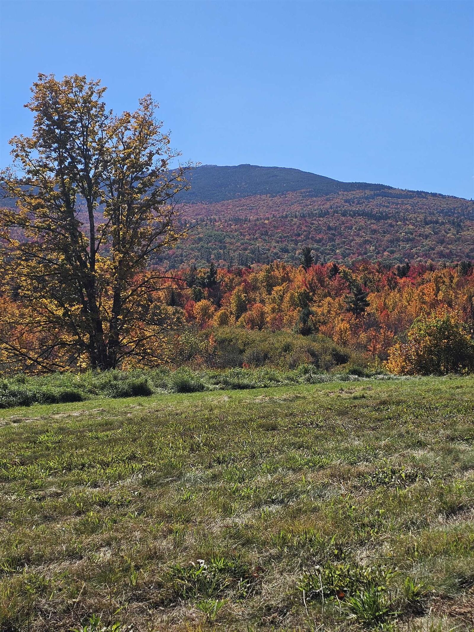 Property Photo: 96 Charcoal Road NH 03444