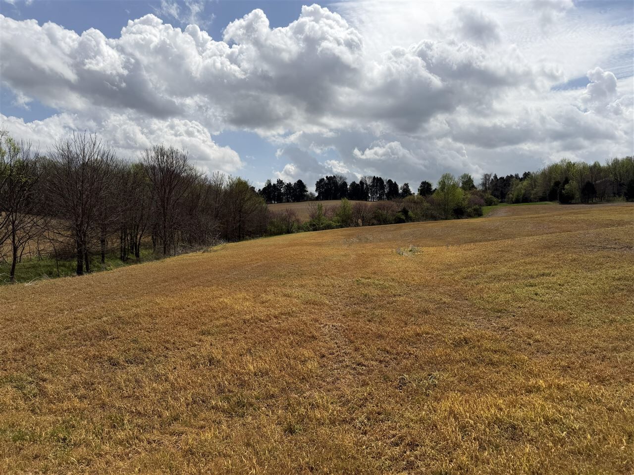 Property Photo:  3305 Anna Sandhill Road  KY 42101 