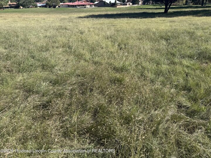 Property Photo:  119B Eagle Drive N  NM 88345 