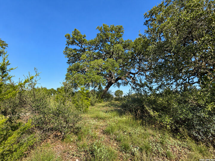 Property Photo:  Lot 32 Lariat Trace  TX 78003 