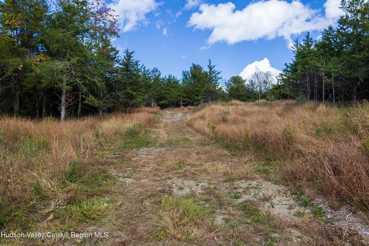Property Photo: 0 Lot 2 Taghkanic Churchtown NY 12521