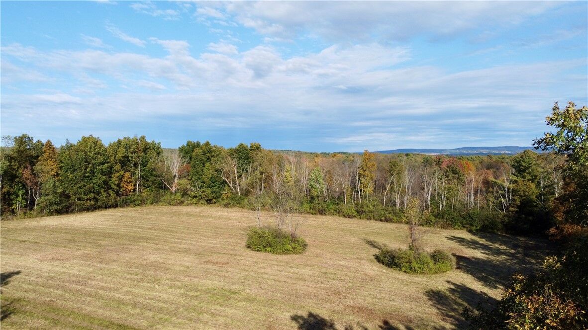 Property Photo:  Wood Road  NY 13068 