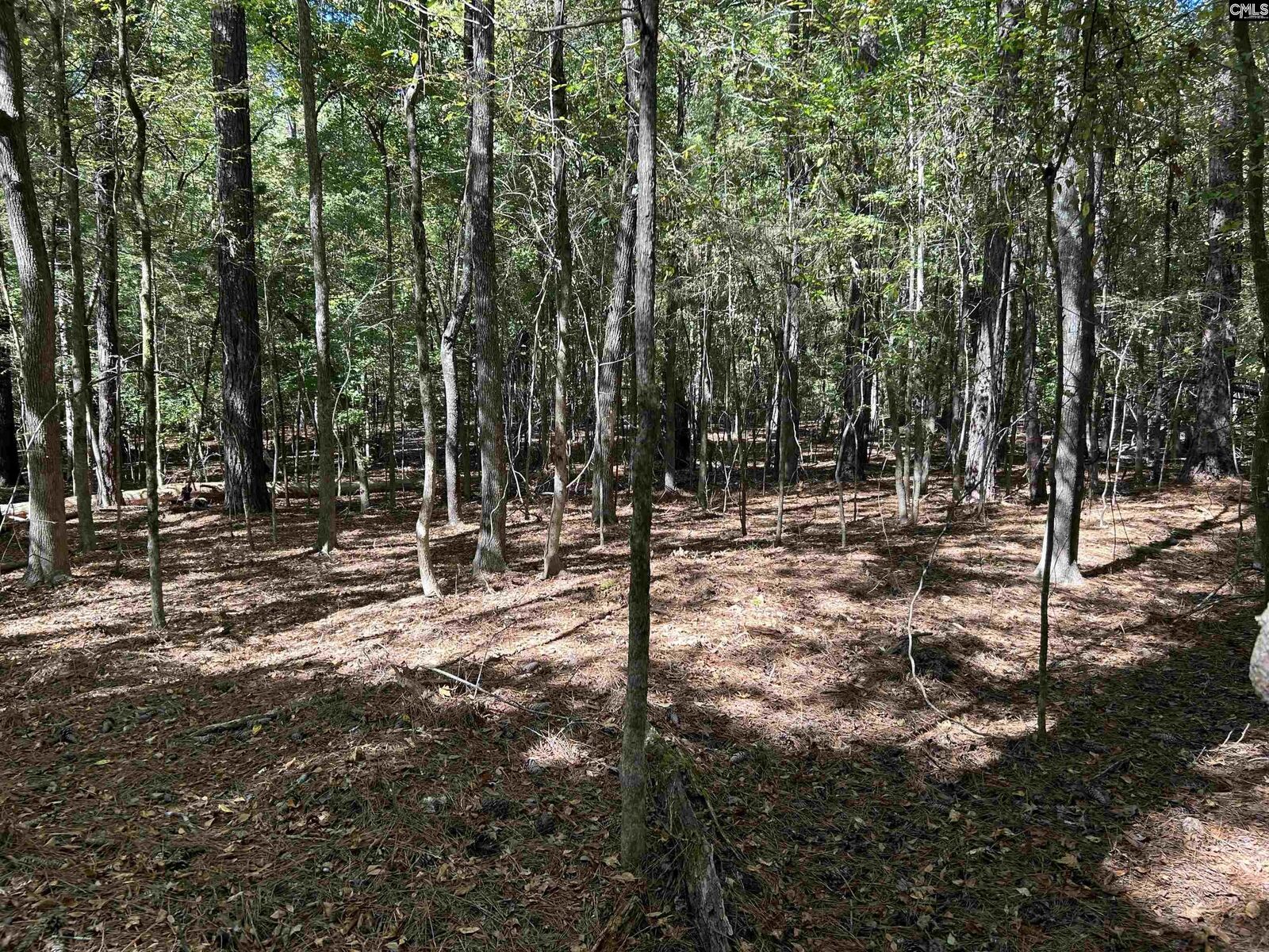 Property Photo: 156 Indian Cove SC 29036
