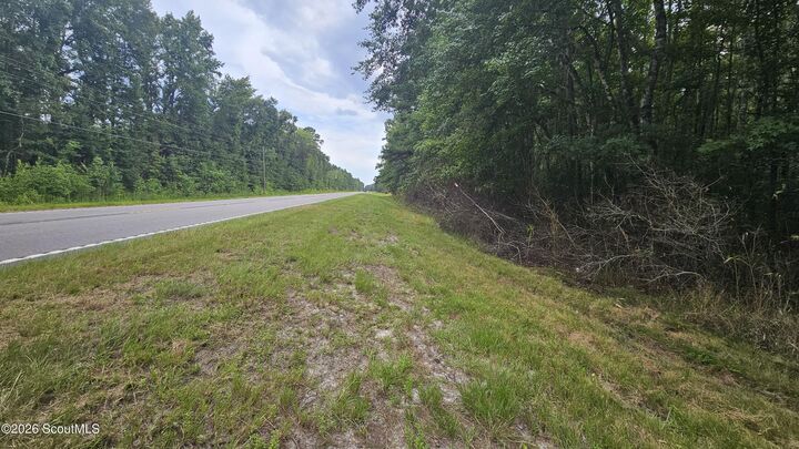 Property Photo: 00 17 Highway GA 31331