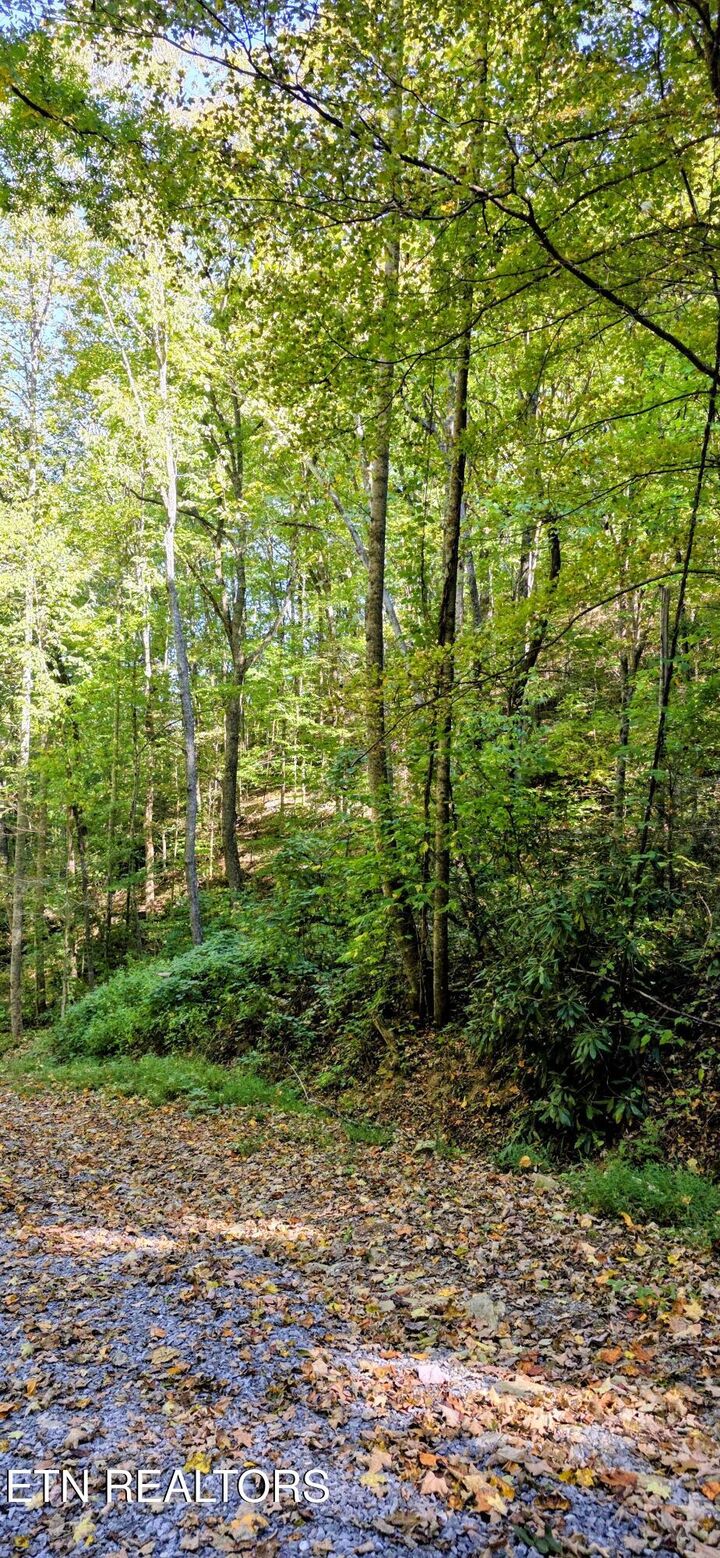 Property Photo:  Balsam Slopes Rd  TN 37862 