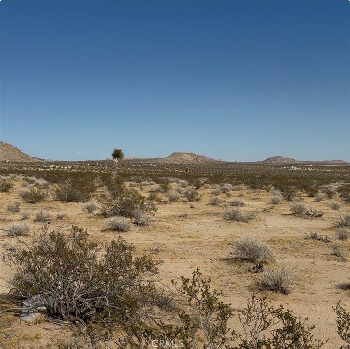Property Photo:  0 Rabbit Springs Road  CA 92356 