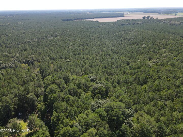 Property Photo:  Tbd Nc 305  NC 27845 