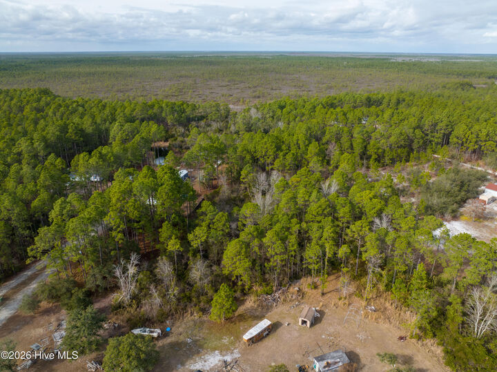 Property Photo: Tbd Double Oaks Drive NC 28443