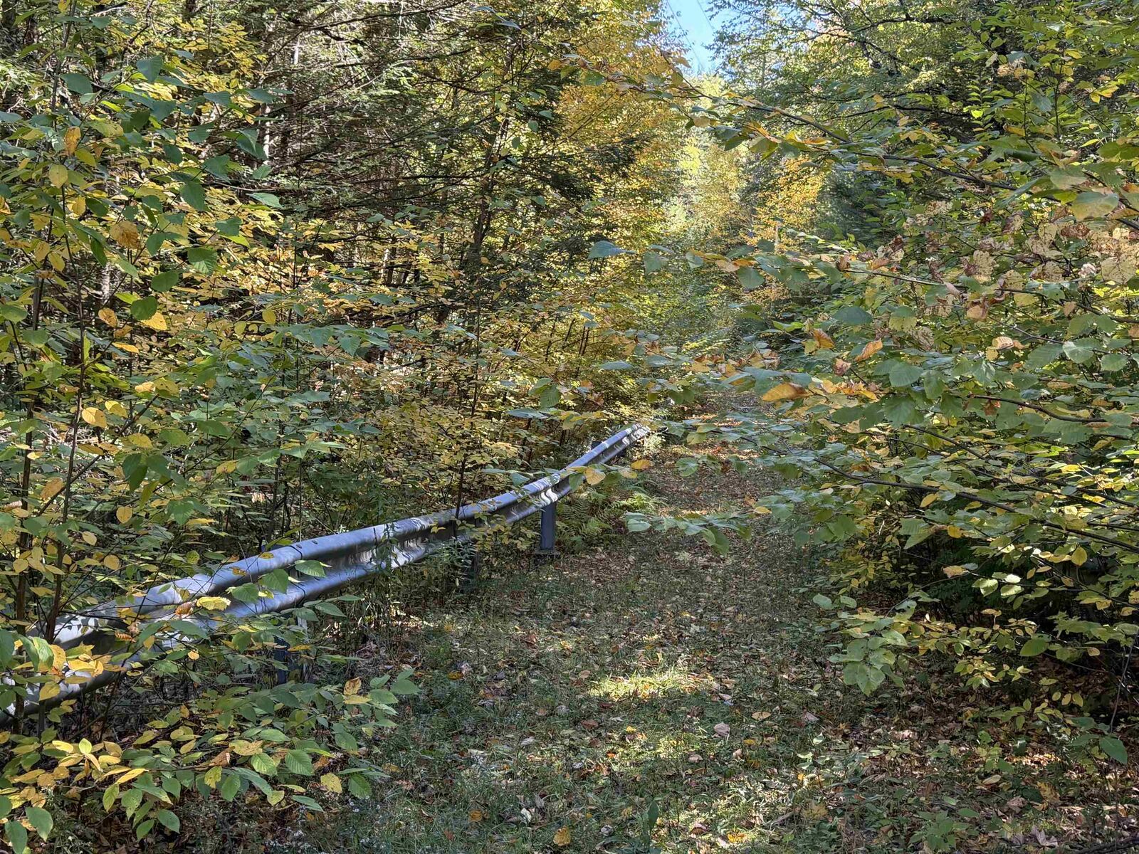 Property Photo:  0off Langley Road  NH 03431 