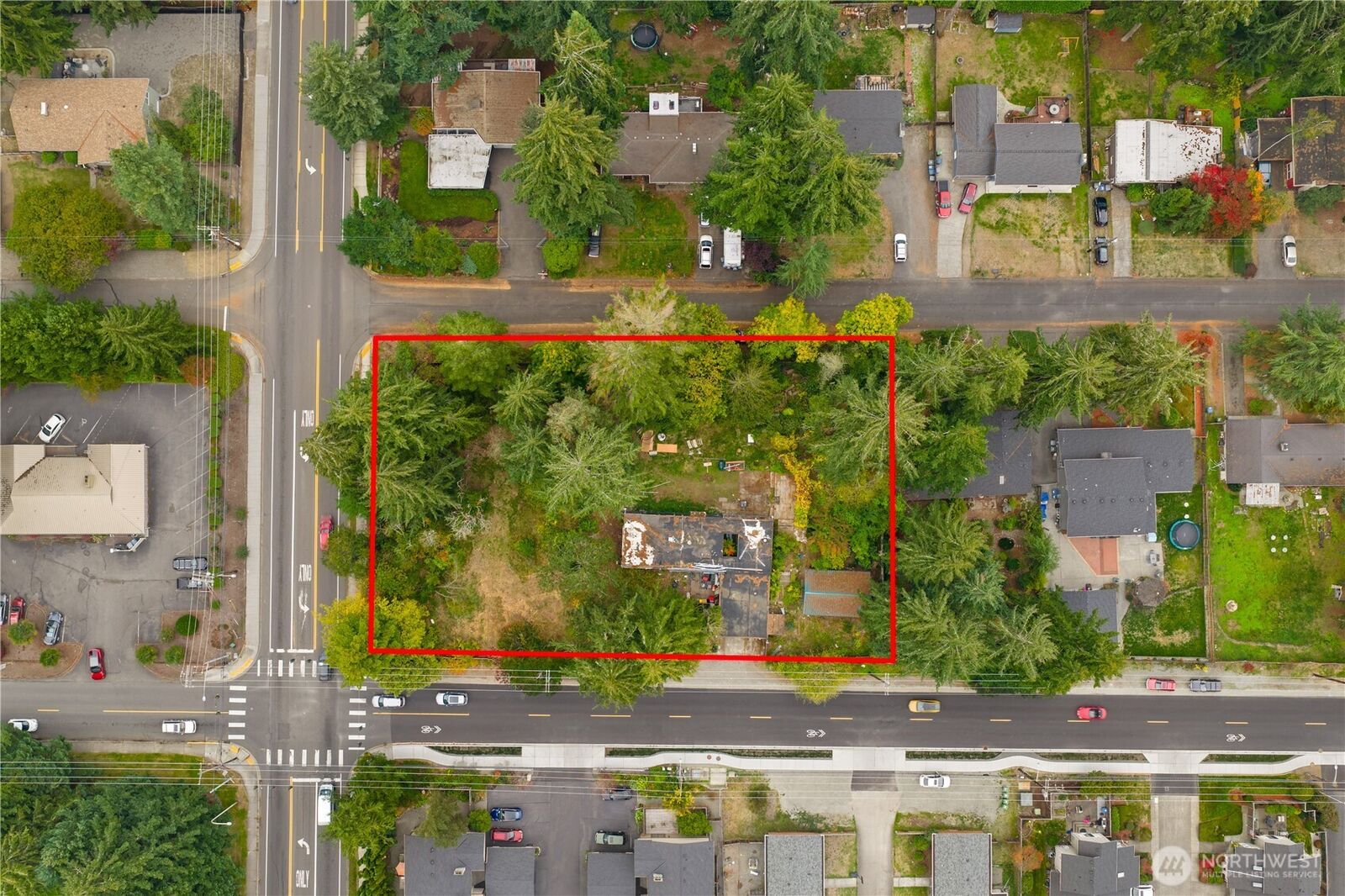 Property Photo: 4011 Alameda Avenue WA 98466