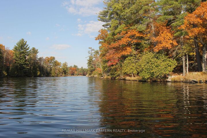 Photo de la propriété:  C280 Lower Buckhorn Lake N/A Lots 1 And 2  ON K0L 1J0 