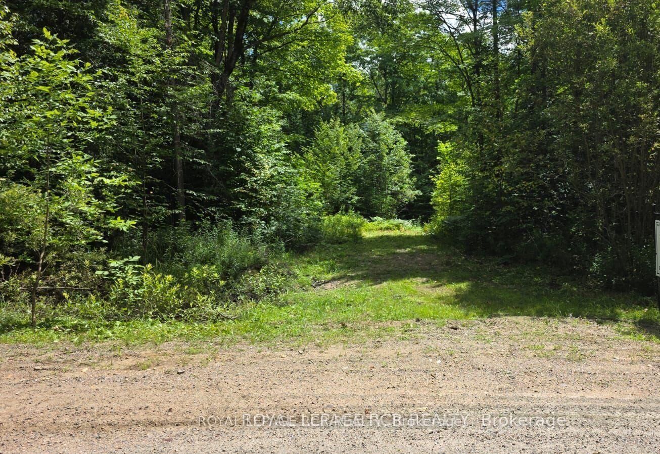 Property Photo:  1414 Madill Road  ON K0M 1R0 