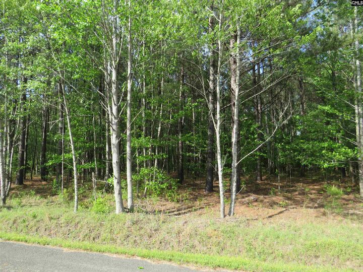 Property Photo:  S/S Old Eastover  SC 29044 