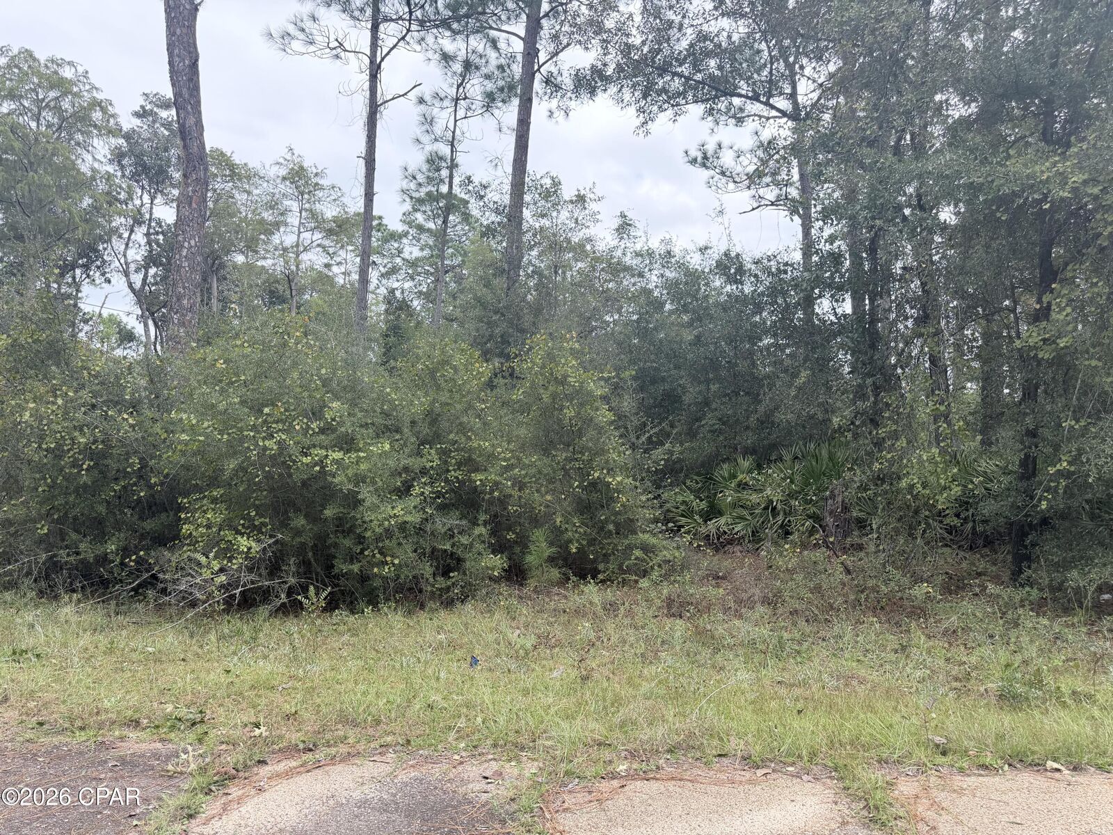 Property Photo:  Lot 1 Wellington Place  FL 32428 
