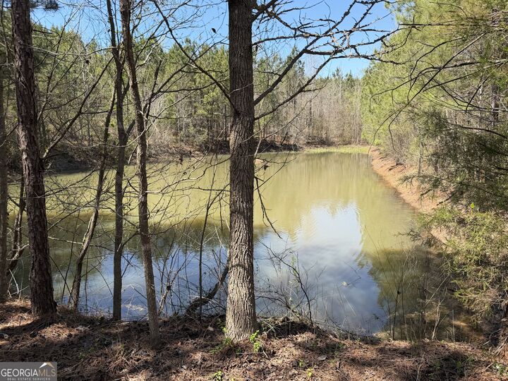 Property Photo:  0000 County Road 79  AL 36276 