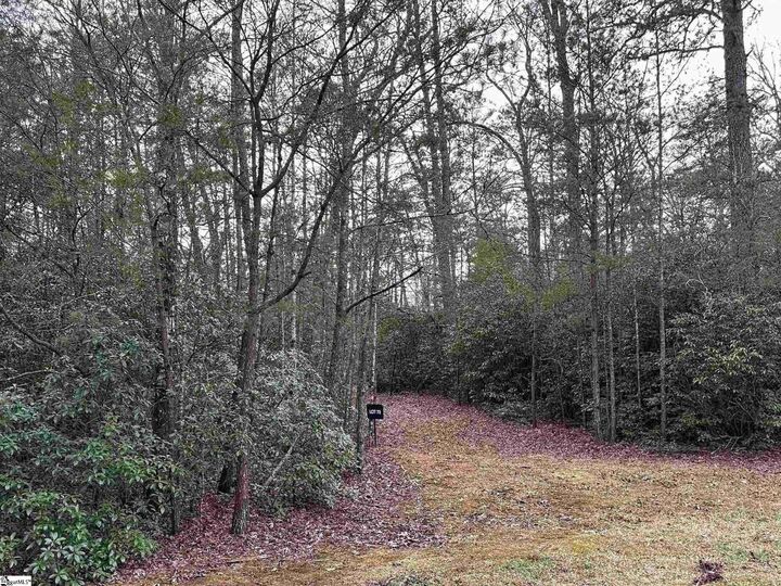 Property Photo: 105 Valley Lake Trail SC 29690