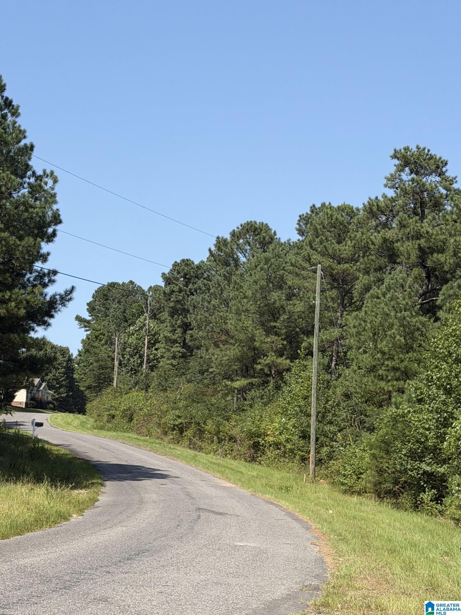 Property Photo: Lake Road Tract 32-36 AL 35120