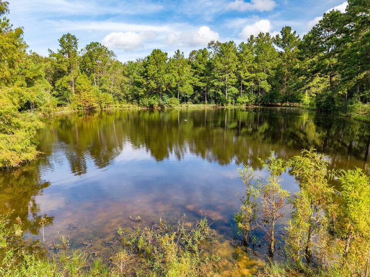 Property Photo:  1080 Andrew Jackson Drive  TX 77351 