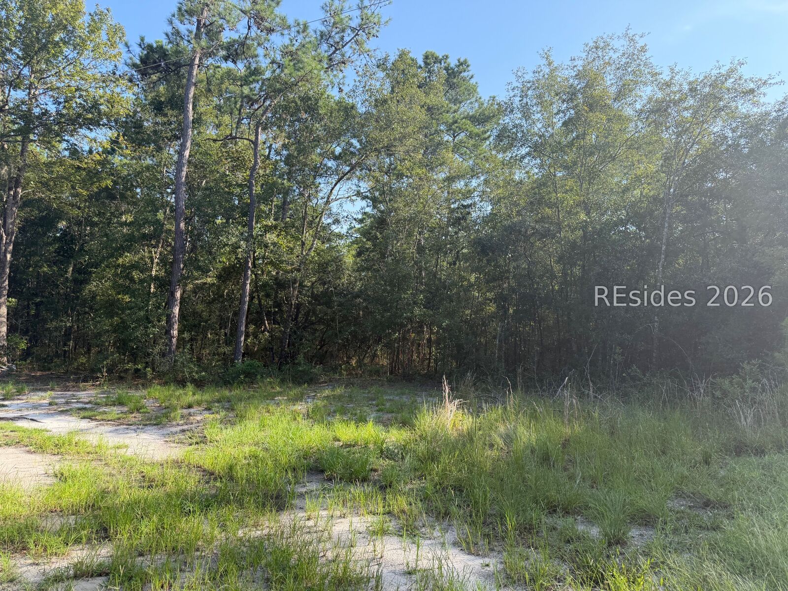 Property Photo:  60 Rosa Scott Drive  SC 29920 