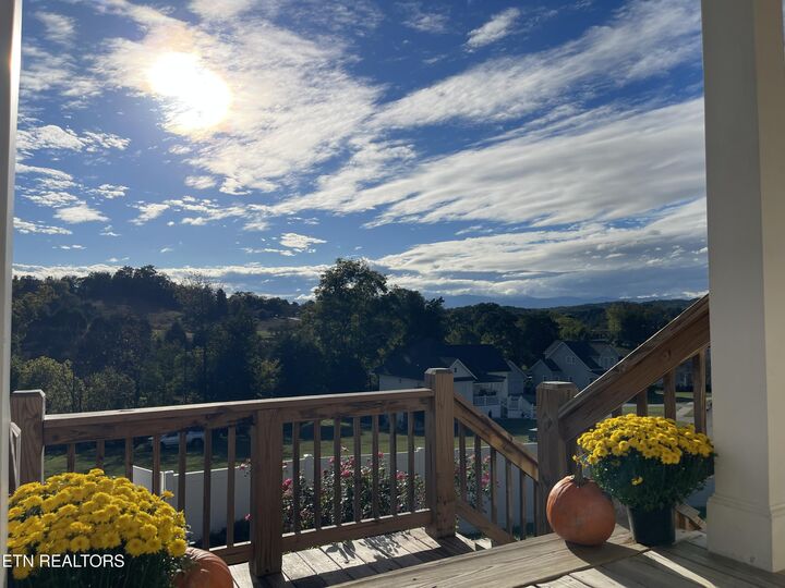 Property Photo:  117 Larkspur Drive  TN 37705 