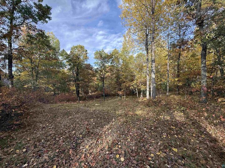 Property Photo:  51190 Loon Echo Ln  WI 54873 