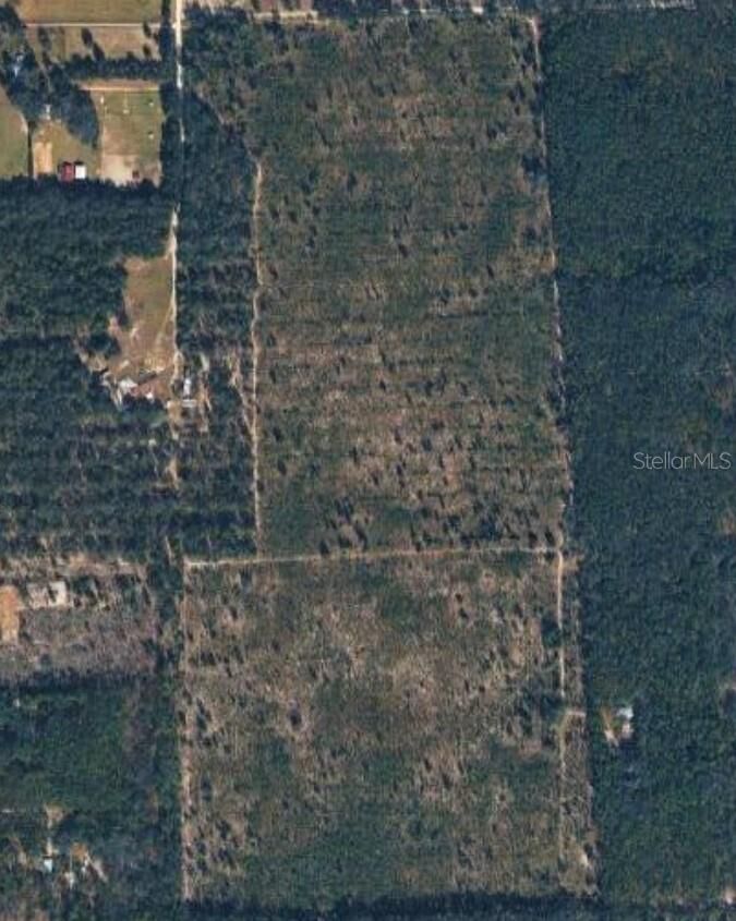 Property Photo:  Tbd NE 44th Avenue  FL 32643 