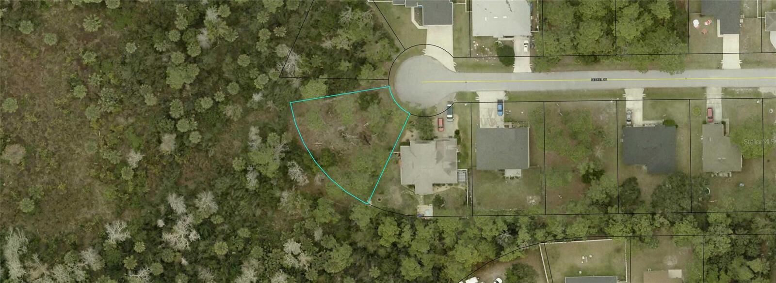 Property Photo: 21 Seckel Court FL 32164