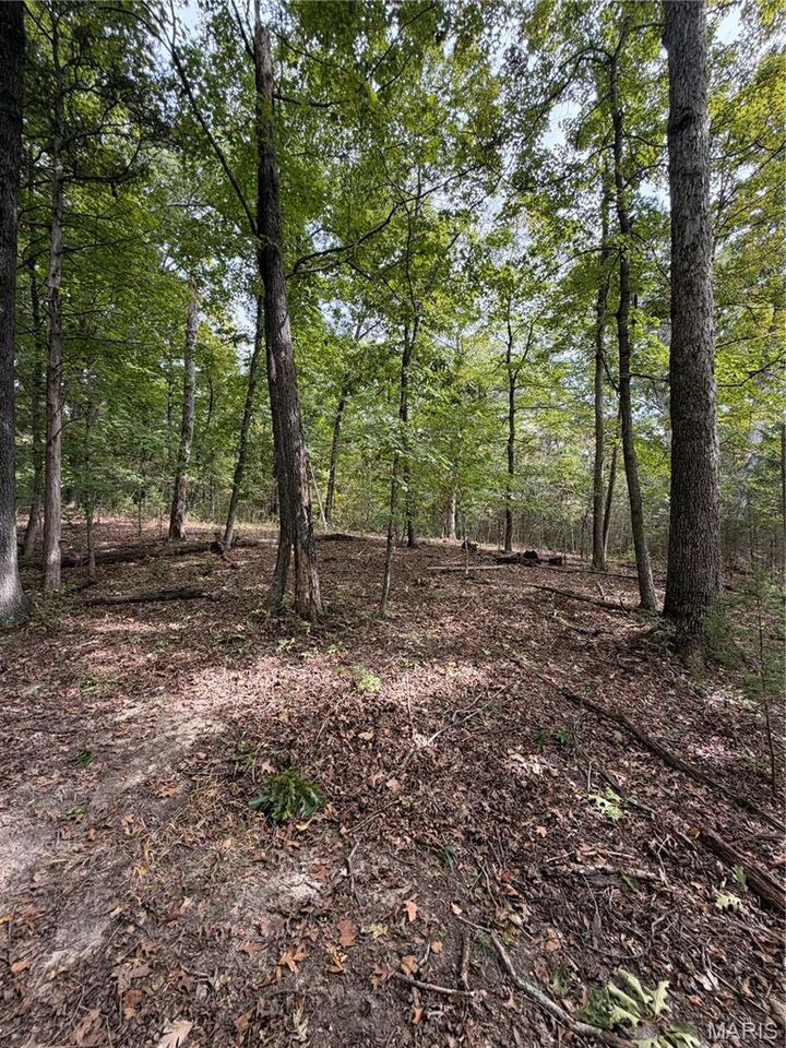 Property Photo: 0 Allen Road MO 63050