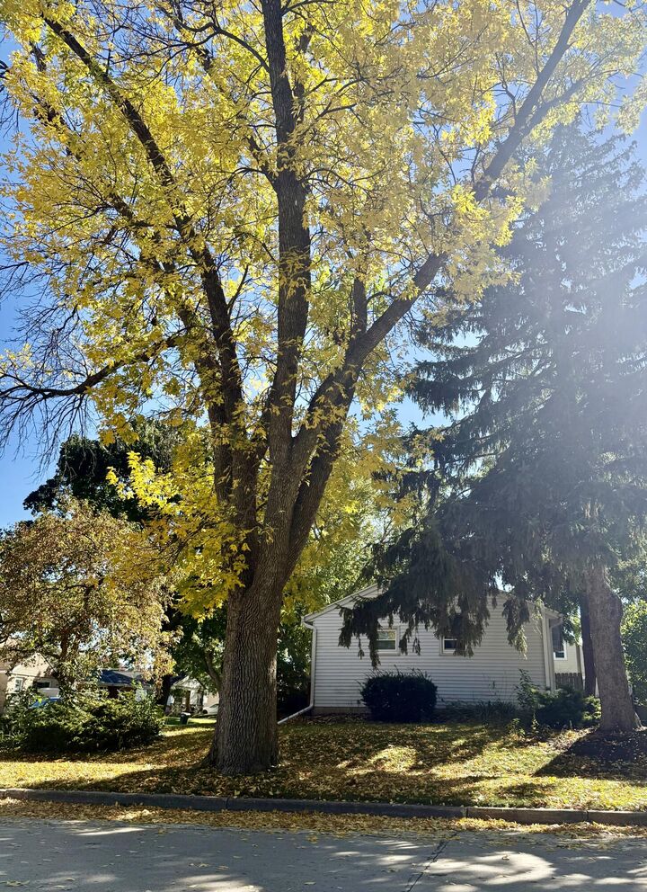 Property Photo:  2507 S 94th St  WI 53227 