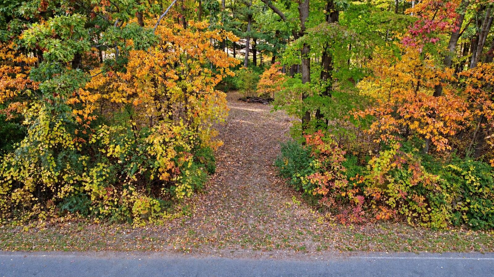 Property Photo: 7861 Vestaburg Road MI 48891