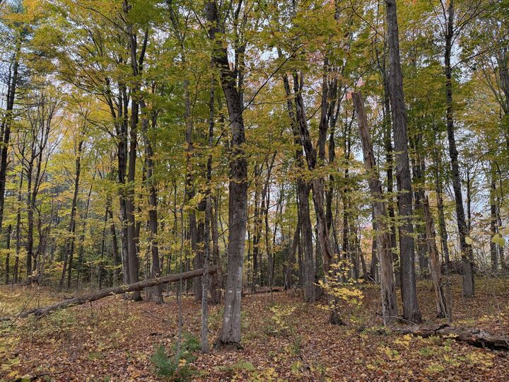 Property Photo:  Map6lot10a Town House Road  ME 04915 