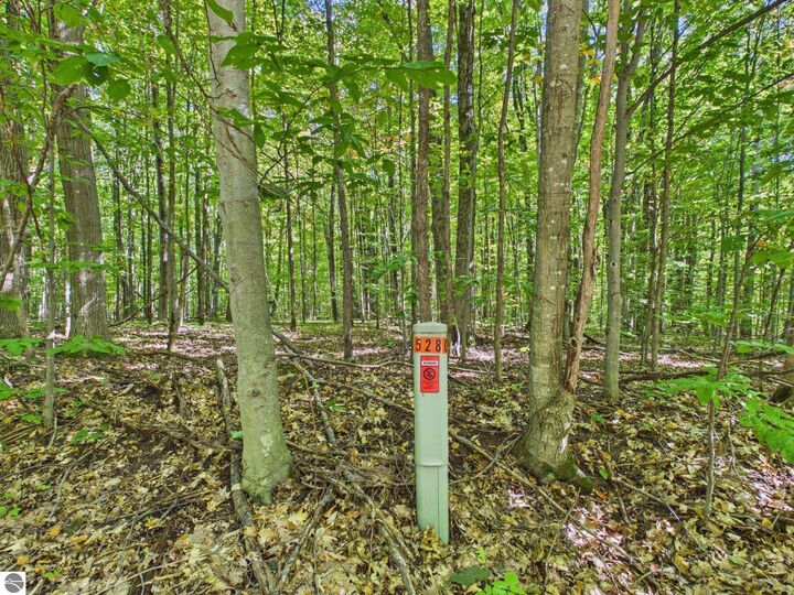 Property Photo:  0 Edelweiss Drive  MI 49615 