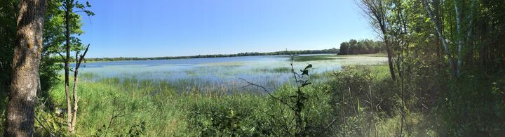 Property Photo:  Tract 1 Lower Larson Lake Road NW  MN 56452 