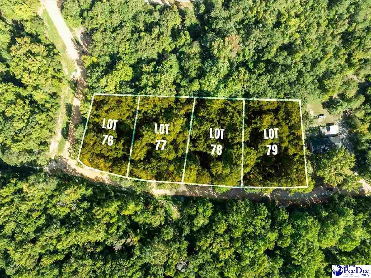 Property Photo:  0000 Jeffrey St. Lot 78  SC 29520 