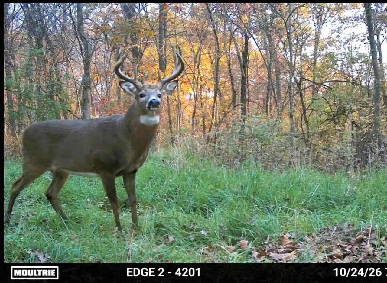 Property Photo: 196+/- Acres Highway 171 WI 54631