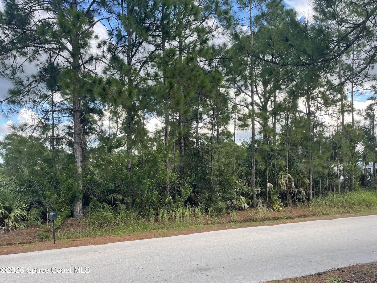 Property Photo:  1257 Harlingen Road SW  FL 32908 