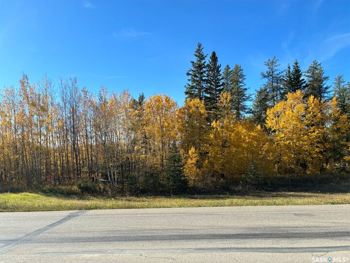 Property Photo:  Rural Address  SK S9X 1Z5 