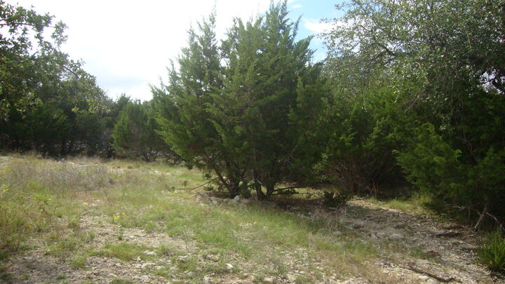 Property Photo:  21519 Patton Avenue  TX 78645 