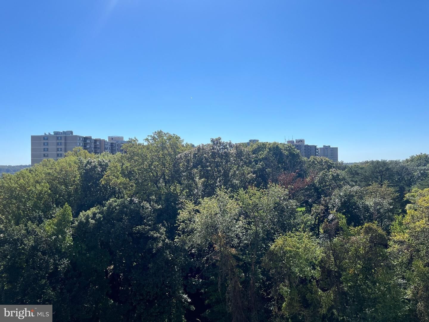 Property Photo:  6300 Stevenson Avenue 1009  VA 22304 