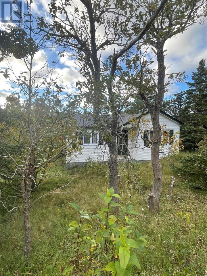 Property Photo:  612-614 Harvey Street  NL A0A 2M0 