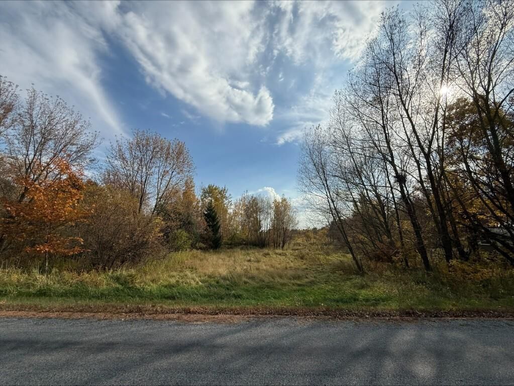 Property Photo:  2.74 Acres Stettin Drive  WI 54448 