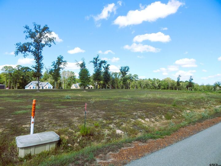 Property Photo:  290 Indian Rock Dr  TX 75645 