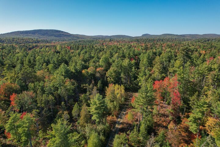 Property Photo:  Lot #28 Mariaville  Road  ME 04605 