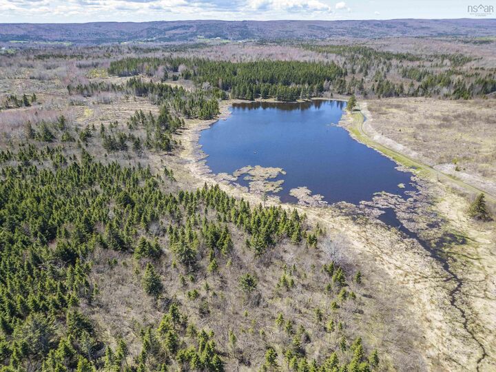 Property Photo:  Lot Highway #7  NS B2G 2L3 