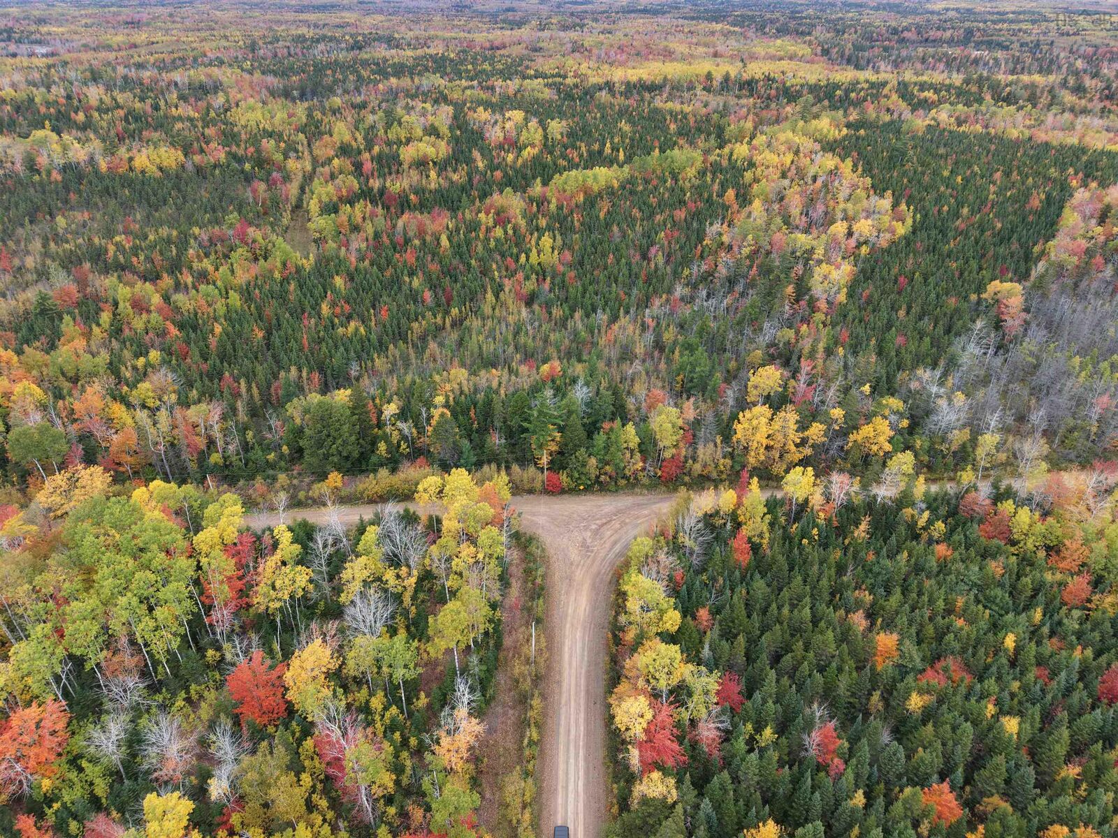 Property Photo:  100 Acres Mitchell Swan Road  NS B0K 1V0 