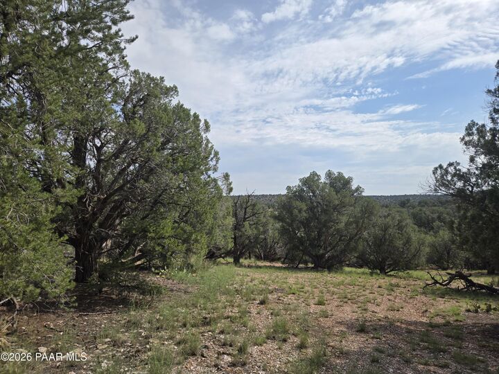 MLS#1085686: 268 S Scorpion Road, Ash Fork, AZ 86320