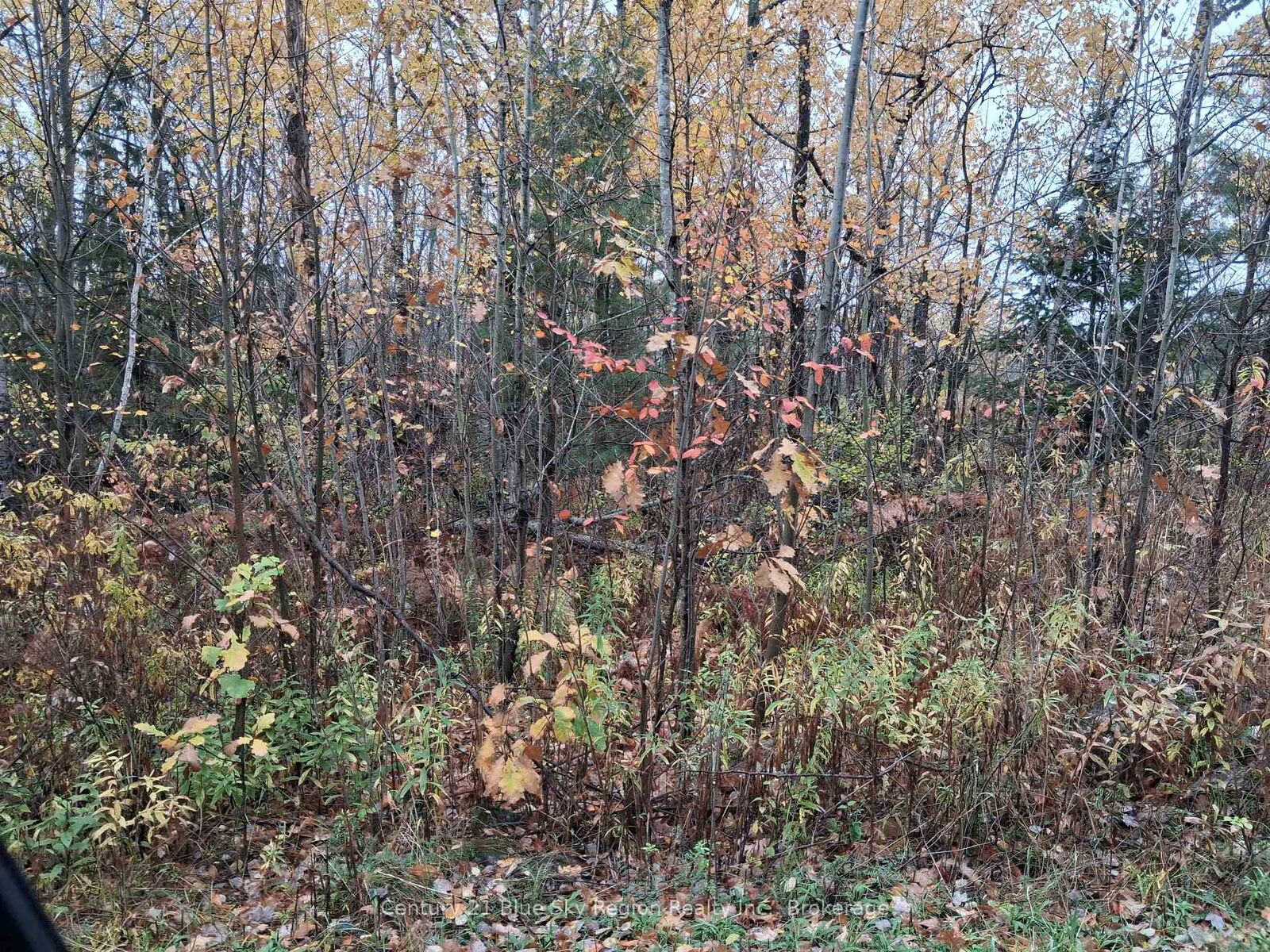 Property Photo:  0 Bear Creek Road  ON P0H 1H0 