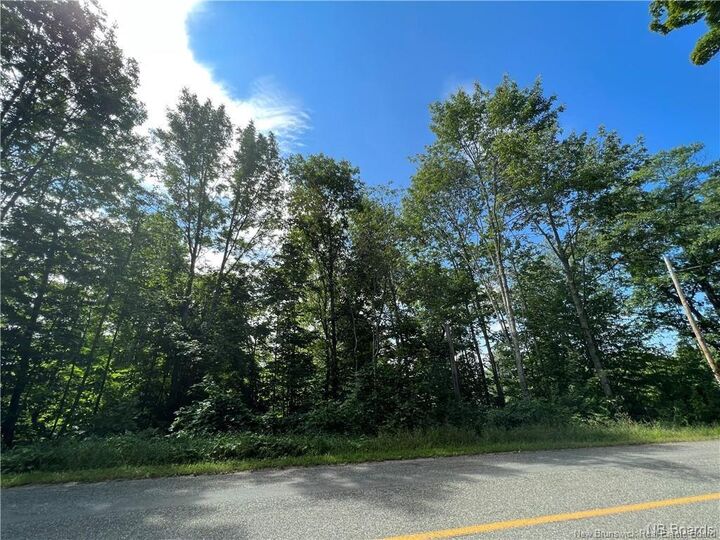 Property Photo:  Vacant Lot 1 Route 105  NB E6L 1K1 