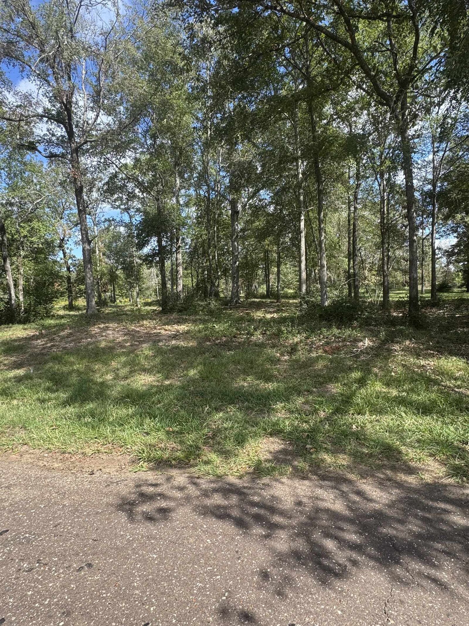Property Photo: Tbd County Road 175 TX 75643
